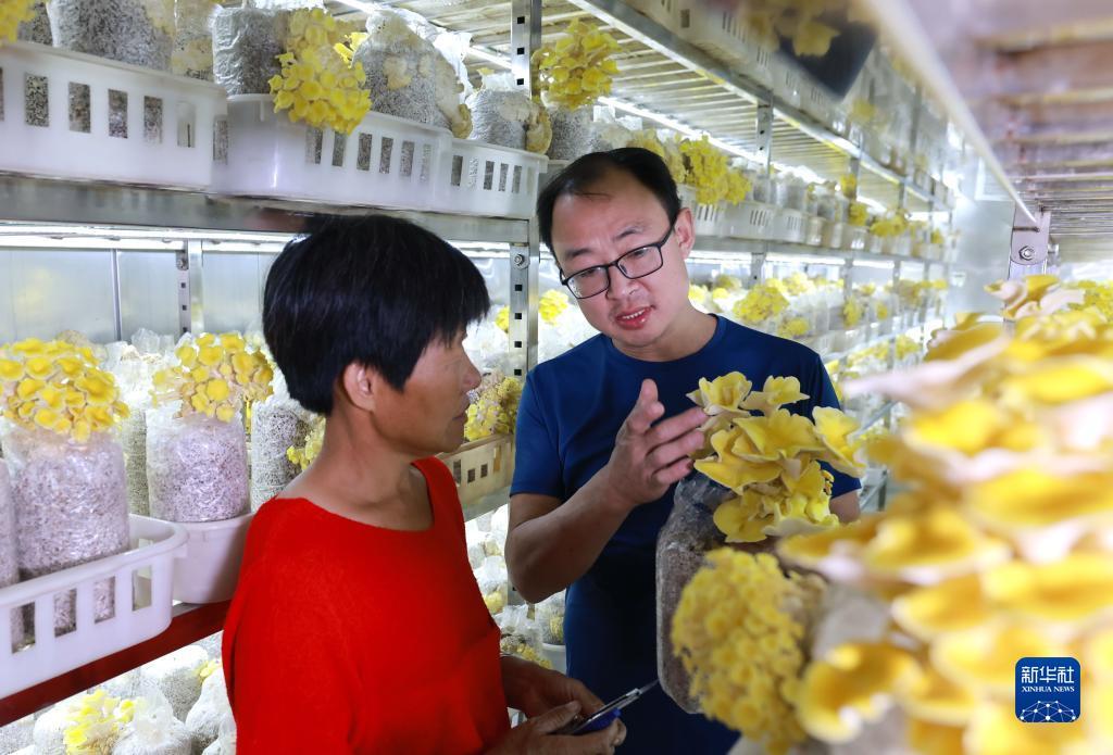 国际游戏城